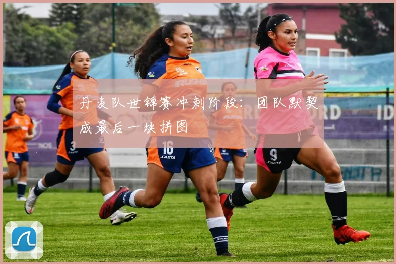 丹麦队世锦赛冲刺阶段：团队默契成最后一块拼图