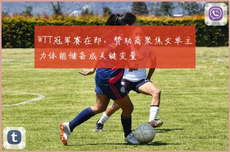 WTT冠军赛在即，赞助商聚焦女单主力体能储备成关键变量