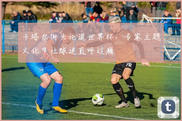 卡塔尔街头论道世界杯，专家主题文化节让球迷直呼过瘾